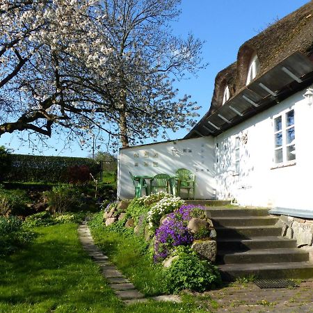 Ferienwohungen Im Feriengarten Dg Nardevitz Kültér fotó
