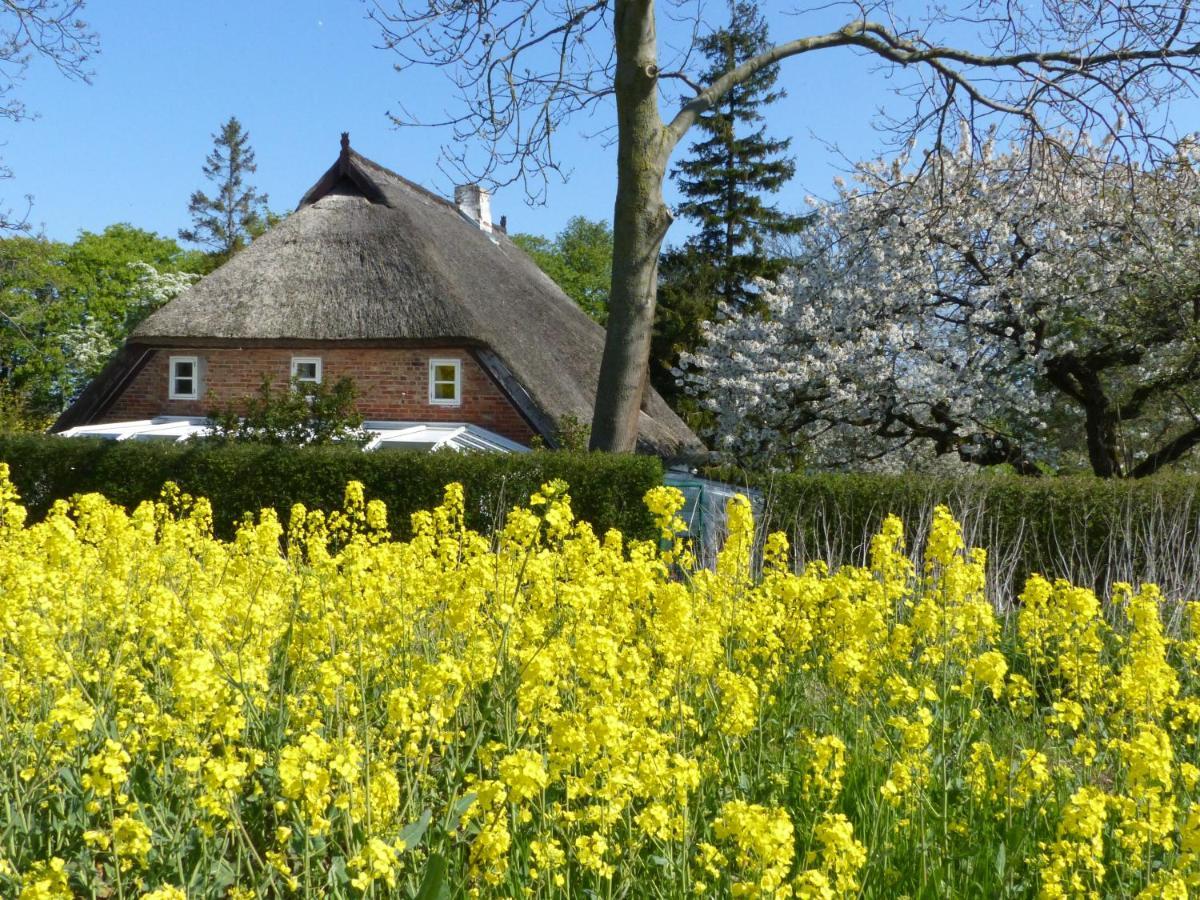 Ferienwohungen Im Feriengarten Dg Nardevitz Kültér fotó