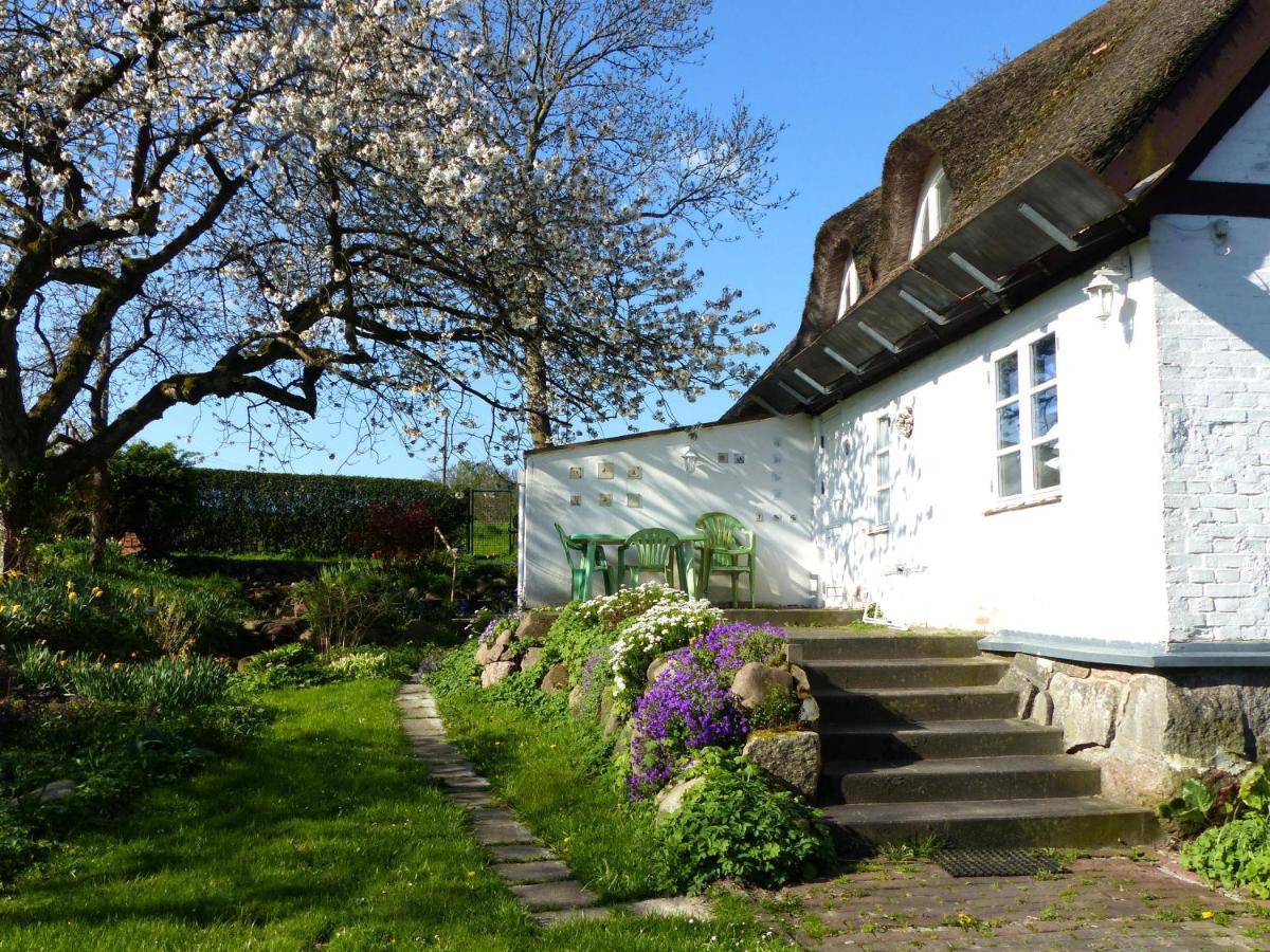 Ferienwohungen Im Feriengarten Dg Nardevitz Kültér fotó