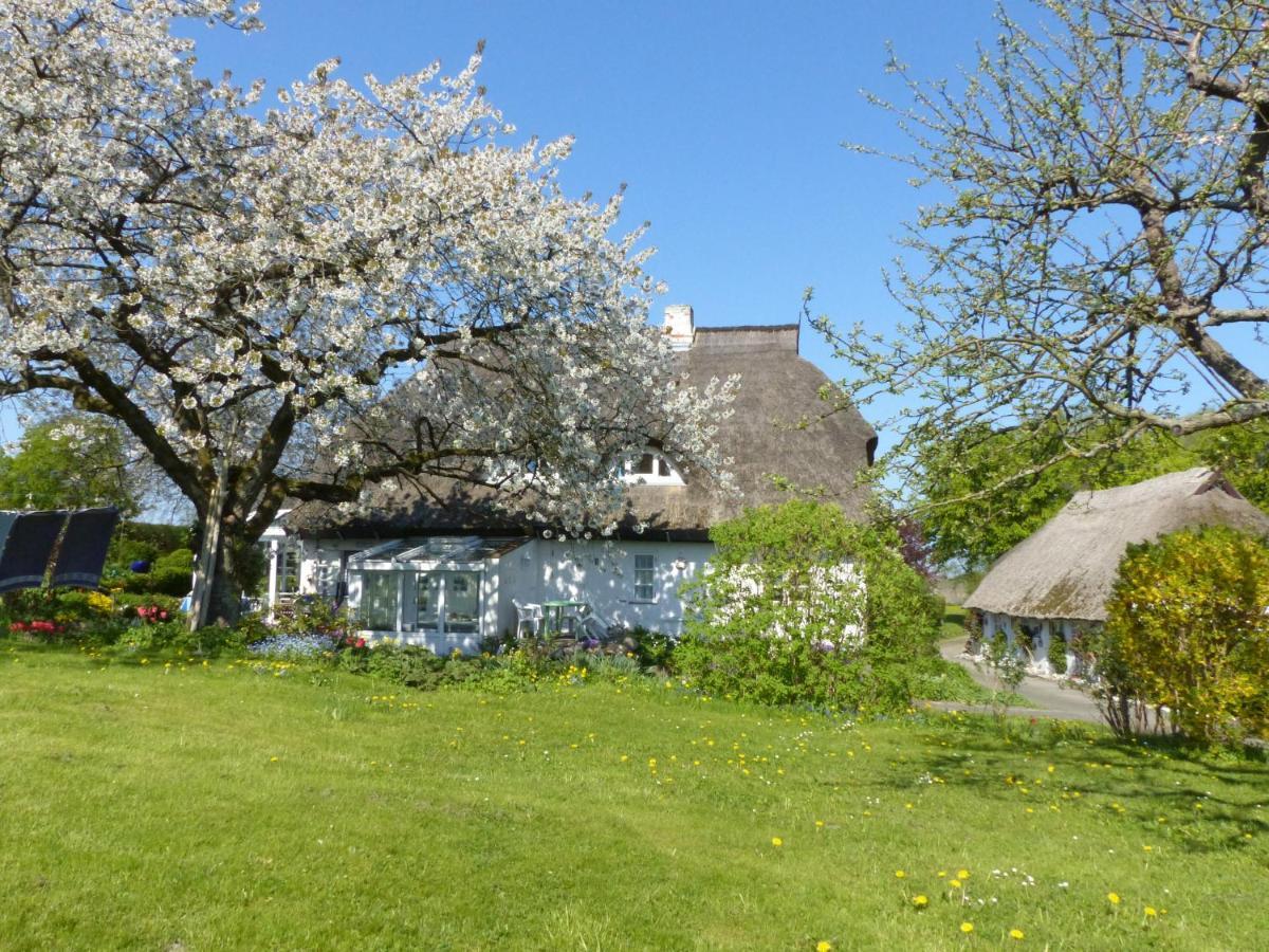 Ferienwohungen Im Feriengarten Dg Nardevitz Kültér fotó